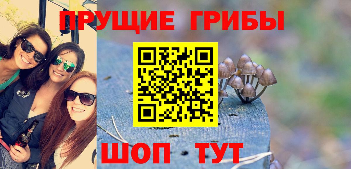 Галлюциногенные грибы GOLDEN TEACHER  Вход с VPN  Томск  Псилоцибиновые грибы Cubensis 