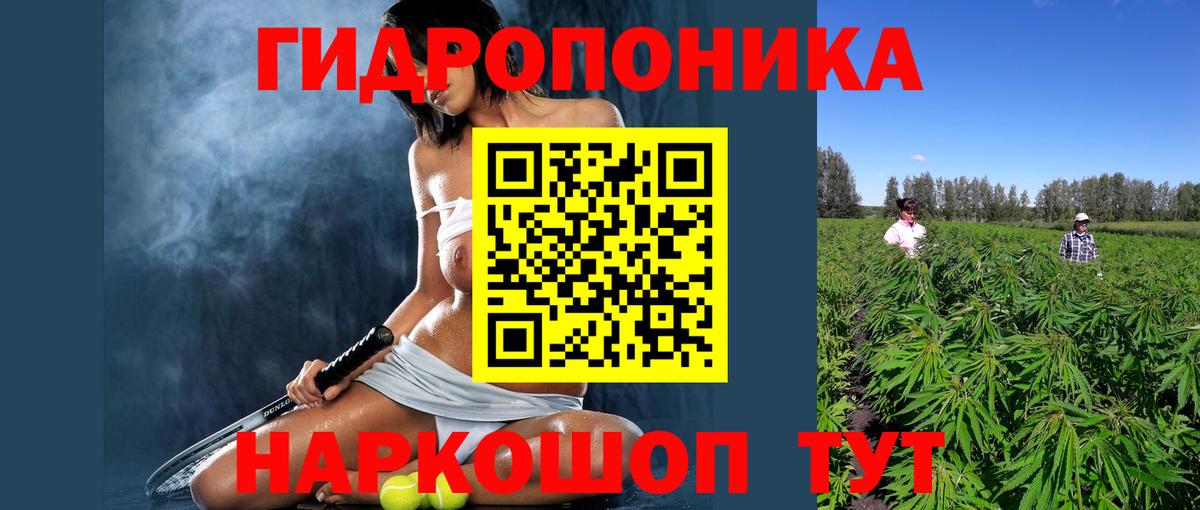 Каннабис план Томск